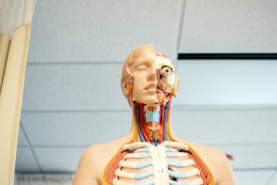 prevenir-obesidad